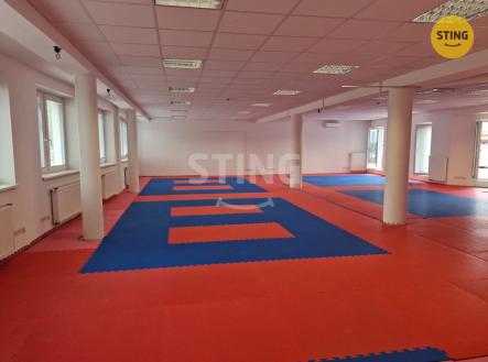 Pronájem kanceláře, 200 m²