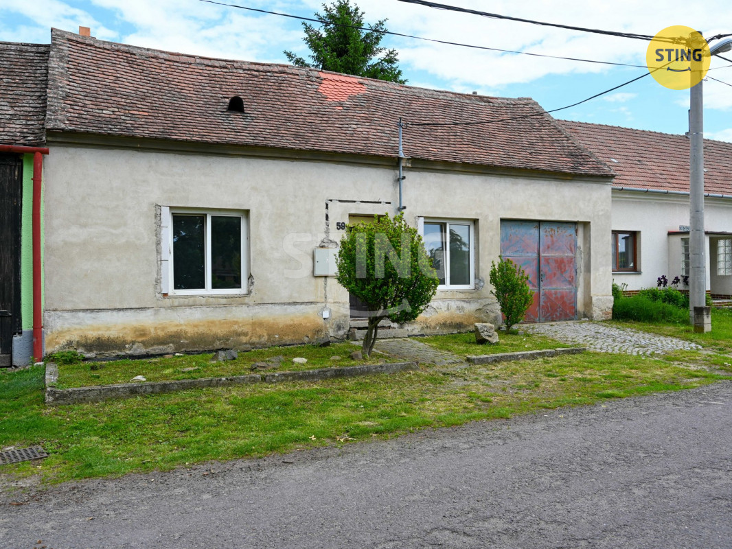 DSC_7538.JPG