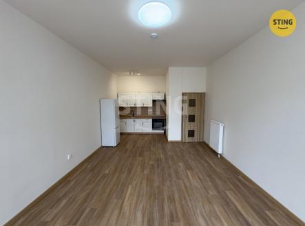 Pronájem bytu, 1+kk, 47 m²