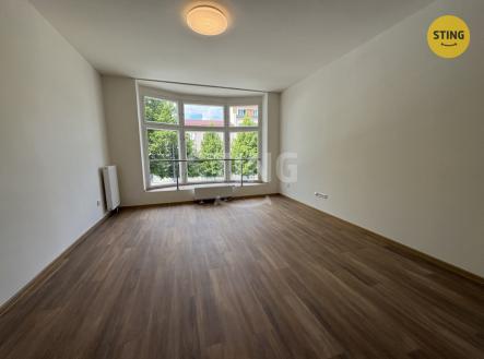 Pronájem bytu, 1+kk, 43 m²