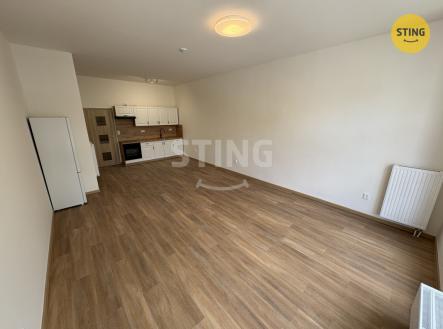 Pronájem bytu, 1+kk, 43 m²