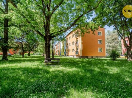 Prodej bytu, 2+1, 50 m²