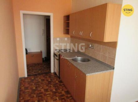 Pronájem bytu, 1+kk, 45 m²