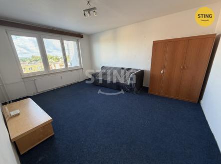Pronájem bytu, 1+1, 45 m²