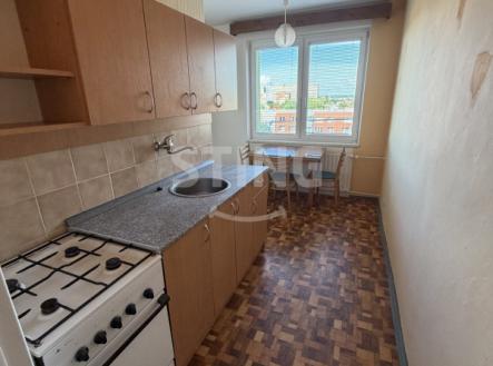 Pronájem bytu, 1+1, 45 m²