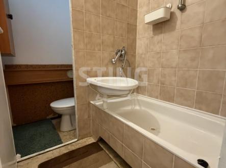 Pronájem bytu, 1+1, 45 m²