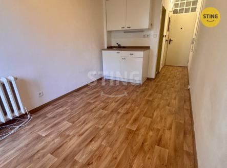 Pronájem bytu, 1+kk, 14 m²