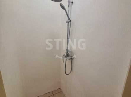 Pronájem bytu, 1+kk, 14 m²