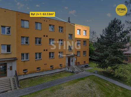 ZvyraznÄnÃ­-2.jpg