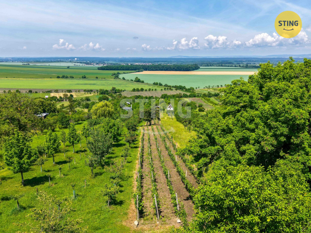 DJI_20260602114552_0031_D.JPG