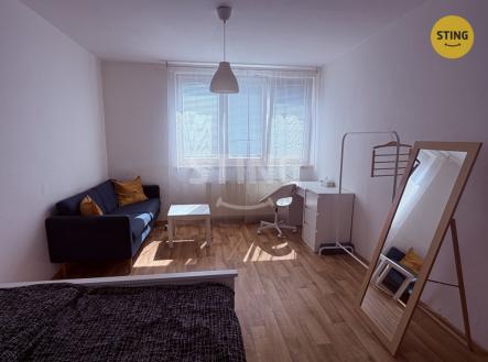 Pronájem bytu, 1+1, 36 m²