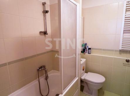 Pronájem bytu, 1+1, 36 m²