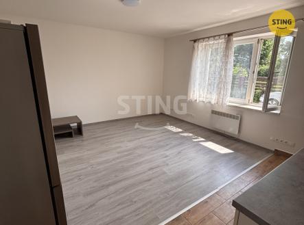 Pronájem bytu, 1+kk, 29 m²