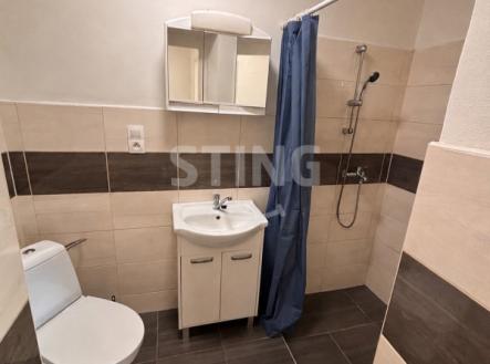 Pronájem bytu, 1+kk, 29 m²
