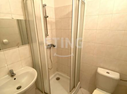 Pronájem bytu, 1+kk, 42 m²