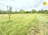 Prodej pozemku, ostatní, 4 194 m²