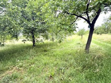 Prodej pozemku, ostatní, 4 194 m²