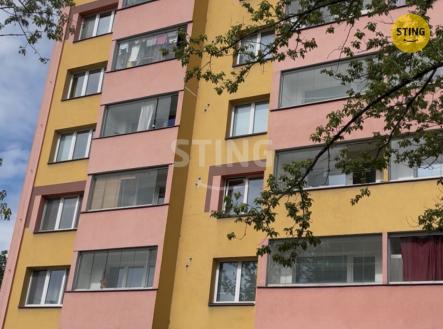 Pronájem bytu, 1+1, 48 m²