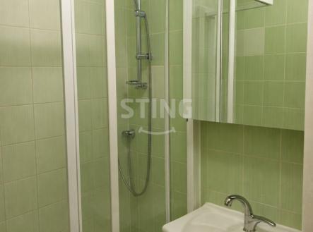 Pronájem bytu, 2+1, 56 m²