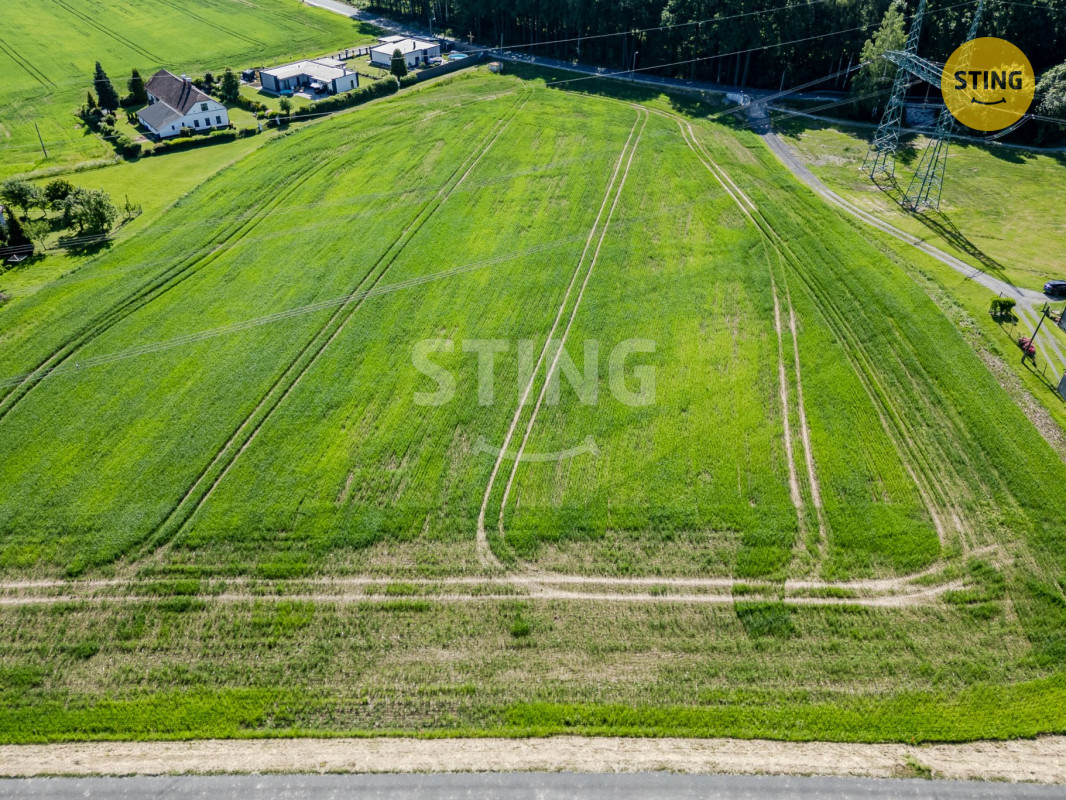 DJI_0571.jpg