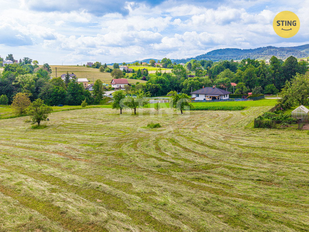 DJI_0881.jpg