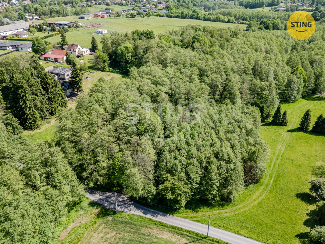 DJI_0286.jpg