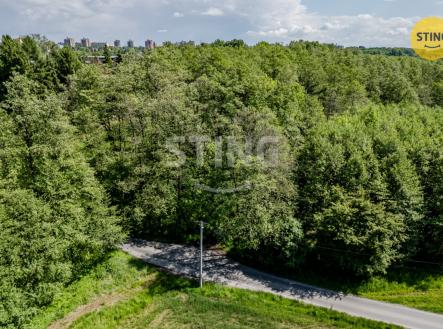 Prodej pozemku, ostatní, 2 329 m²