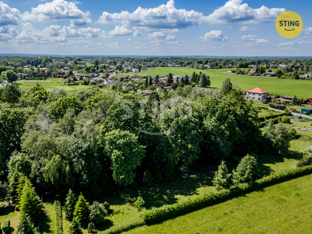 DJI_0307.jpg