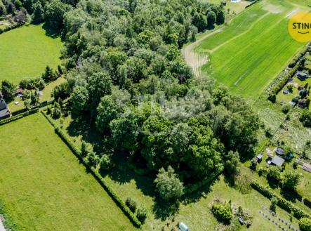 Prodej pozemku, les, 1 028 m²
