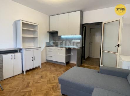 Pronájem bytu, garsoniéra, 20 m²