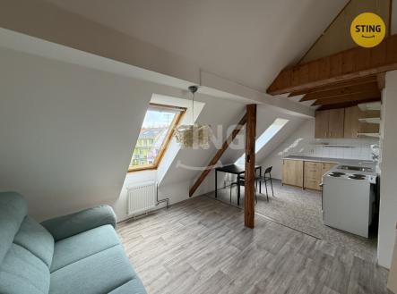 Pronájem bytu, 1+kk, 52 m²
