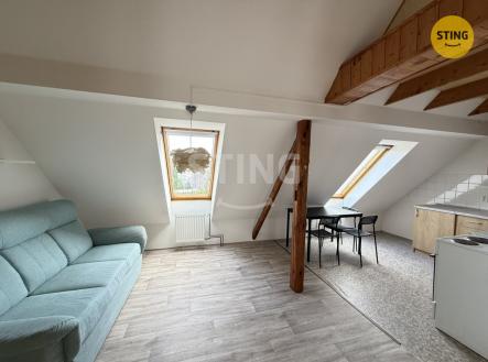Pronájem bytu, 1+kk, 52 m²