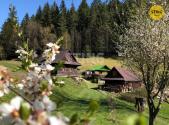 Prodej domu/vily, 2 989 m²