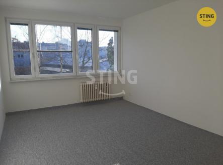 Pronájem bytu, 1+1, 43 m²