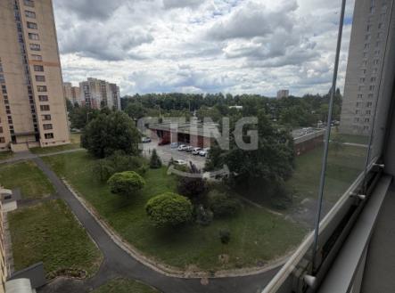 IMG_4862.jpeg