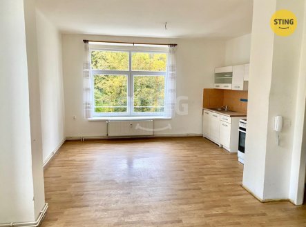 Pronájem bytu, 1+kk, 39 m², Bruntál – náhled fotky 3