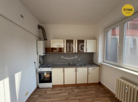 Pronájem bytu, 1+1, 39 m²