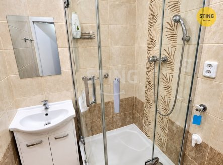 Pronájem bytu, 2+1, 55 m²