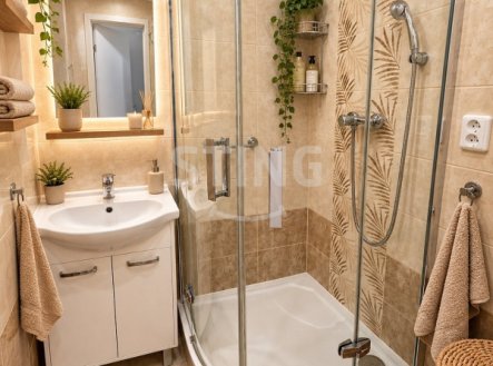 Pronájem bytu, 2+1, 55 m²
