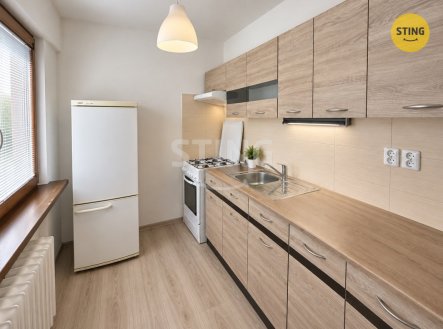 Pronájem bytu, 1+1, 29 m²