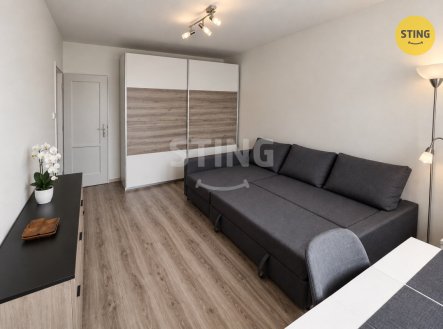 Pronájem bytu, 1+1, 29 m²