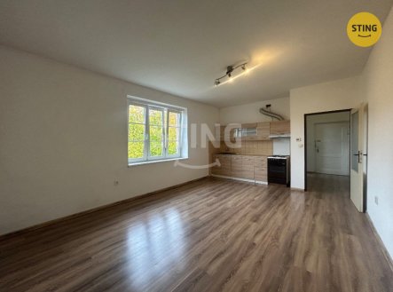 Pronájem bytu, 1+kk, 35 m²