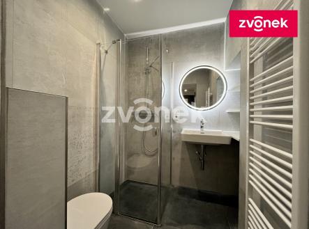Pronájem bytu, 2+kk, 47 m²