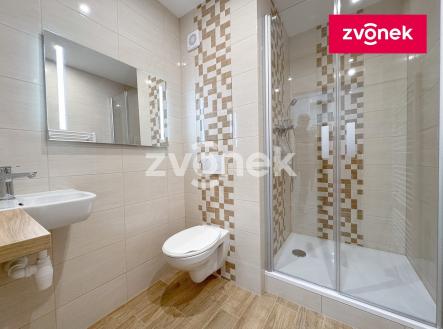 Pronájem bytu, 1+1, 31 m²