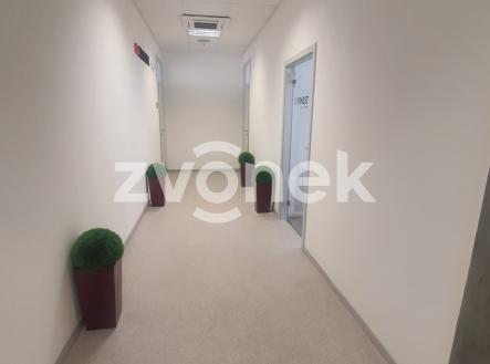 Pronájem kanceláře, 59 m²