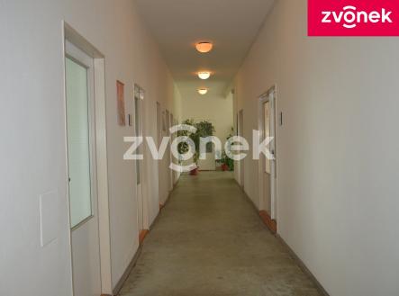 Pronájem obchodní prostor, 270 m²