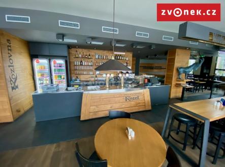 Prodej obchodní prostor, 500 m²