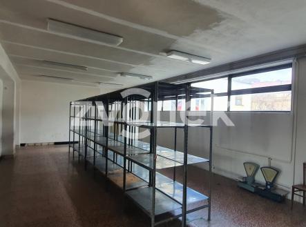 Pronájem obchodní prostory, 320 m²