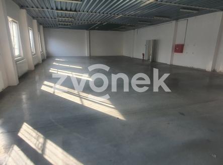 Pronájem komerčního objektu, sklad, 257 m²