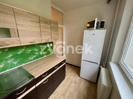 Pronájem bytu, 1+1, 39 m²